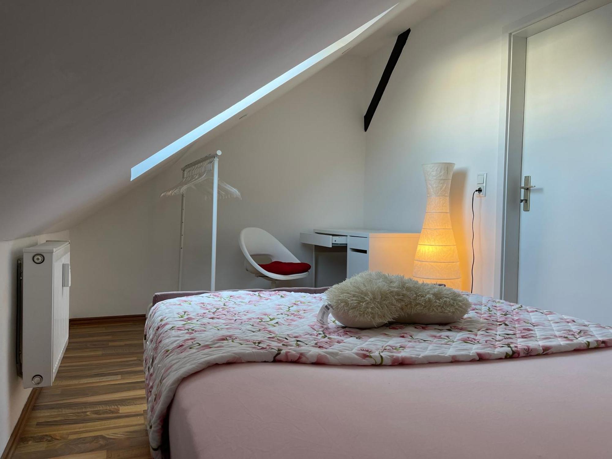 Geraeumige 3-Zimmer-Ferienwohnung Im Herzen Von Kassel Dış mekan fotoğraf
