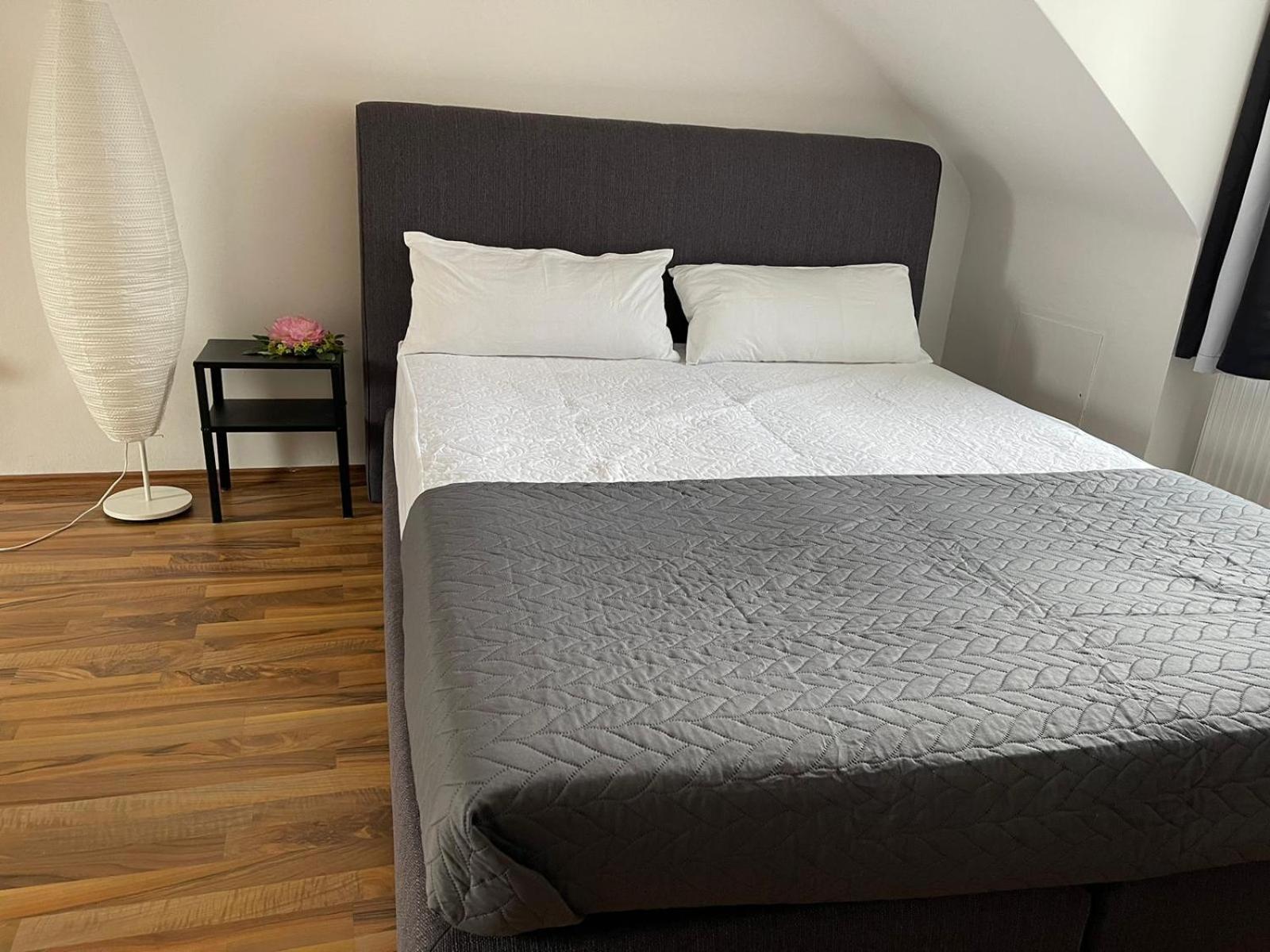 Geraeumige 3-Zimmer-Ferienwohnung Im Herzen Von Kassel Dış mekan fotoğraf